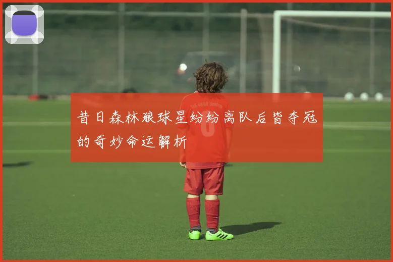 昔日森林狼球星纷纷离队后皆夺冠的奇妙命运解析